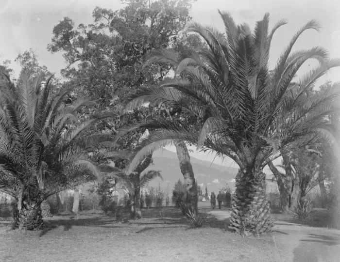 Framed Print : Golf at Cannes. General view of the first tee from the club house. 21 January 1921