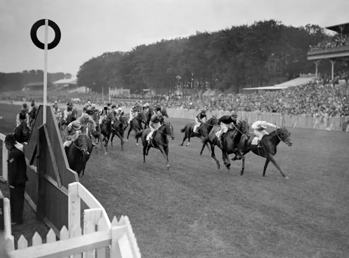 Framed Print : The Goodwood Races General view of racing at Goodwood, Sussex, England Framed Print : The Goodwood Races General view of racing at Goodwood, Sussex, England