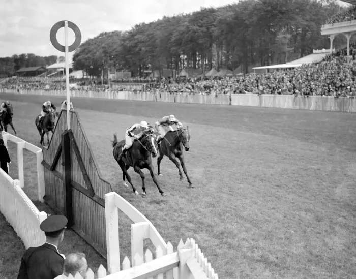 Framed Print : Goodwood Sussex England Valedictory ( left ) winning by a neck in Gordon Stakes Framed Print : Goodwood Sussex England Valedictory ( left ) winning by a neck in Gordon Stakes