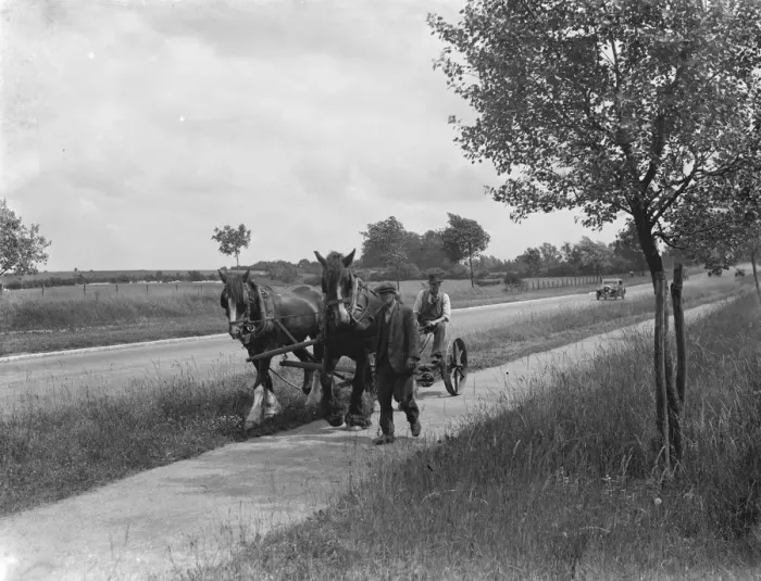 Framed Print : Grass cutting in Chelsfield, Kent, using a horse drawn mower. 1936