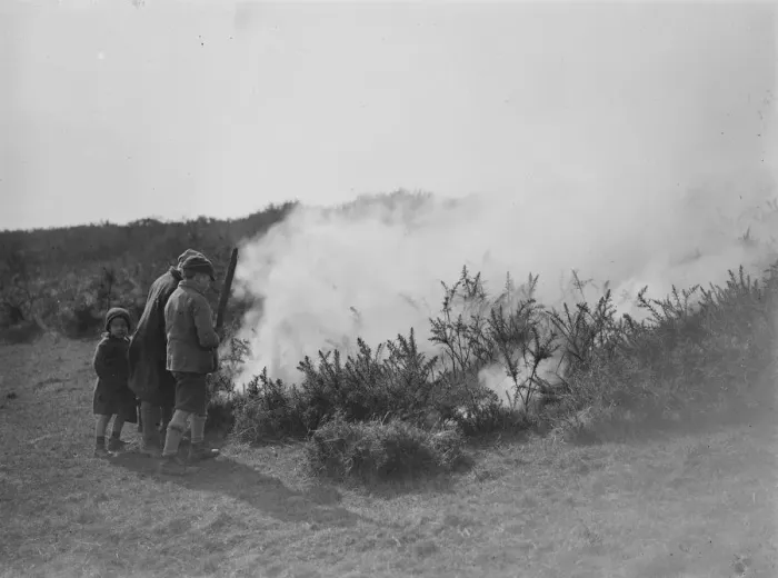 Framed Print : Great common fire near Eastbourne. A great common fire laid waste acres of heath