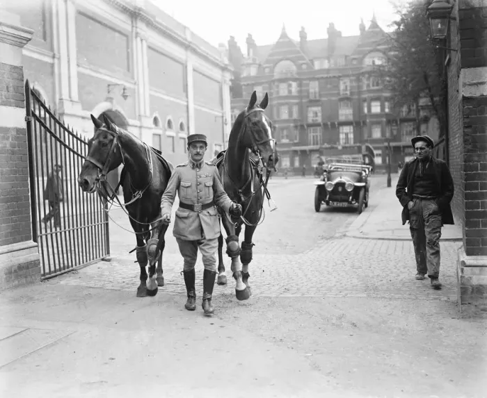 Framed Print : Great Horse Show at Olympia A French private bringing in horses from exercise Framed Print : Great Horse Show at Olympia A French private bringing in horses from exercise