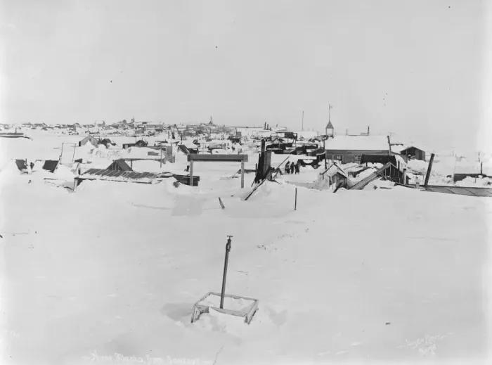 Framed Print : In the grip of disease. A thrilling race against death has started at Nenana Framed Print : In the grip of disease. A thrilling race against death has started at Nenana