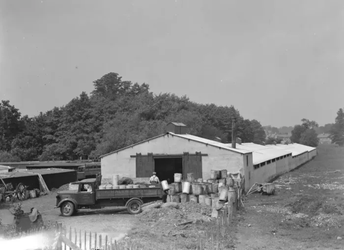 Framed Print : Hales Pig Farm in Footscray, Kent. 21 June 1937 Framed Print : Hales Pig Farm in Footscray, Kent. 21 June 1937