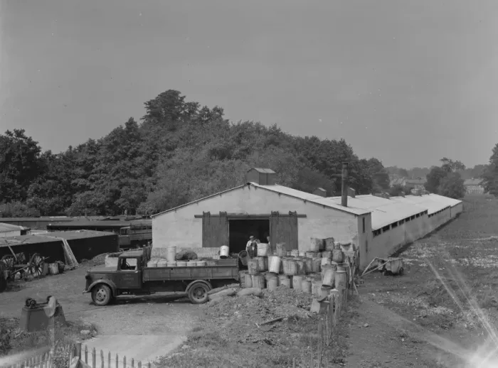 Framed Print : Hales Pig Farm in Footscray, Kent. 21 June 1937 Framed Print : Hales Pig Farm in Footscray, Kent. 21 June 1937