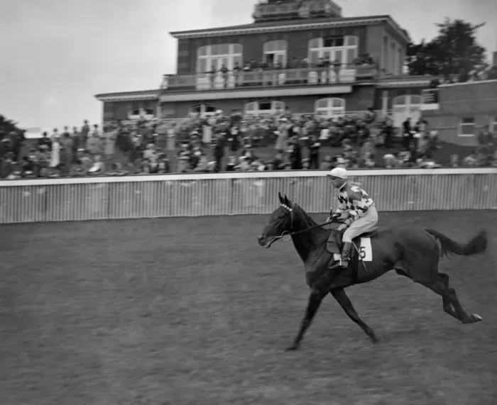 Framed Print : Halycon Gift at Goodwood Racecourse. 1937 Framed Print : Halycon Gift at Goodwood Racecourse. 1937