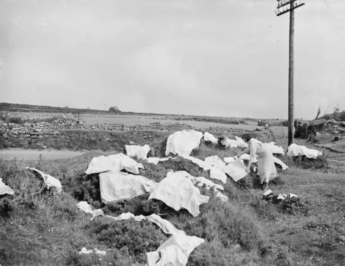 Framed Print : Hanging the washiing out on gorse bushes in St Just, Penrith. 1936