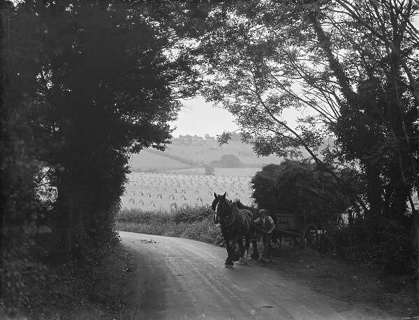 Harvest scene near Otford, Kent. A farmer leads his horse and hay cart off a field