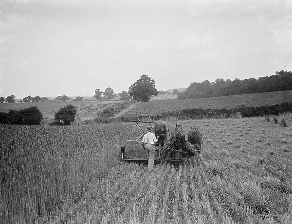 Harvesting. 1937