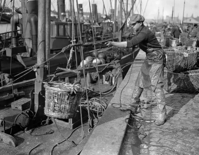 Framed Print : Herring Fishery at Great Yarmouth, Norfolk, England The quayside with the steam Framed Print : Herring Fishery at Great Yarmouth, Norfolk, England The quayside with the steam