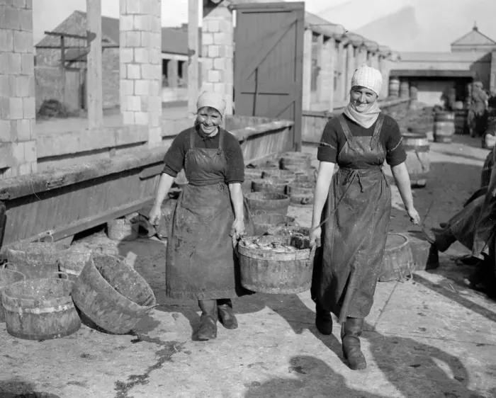 Framed Print : Herring Fishery at Great Yarmouth, Norfolk, England Framed Print : Herring Fishery at Great Yarmouth, Norfolk, England