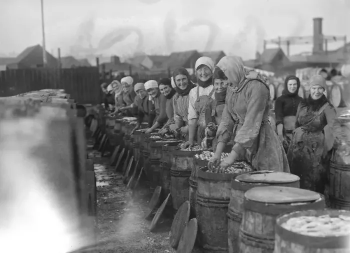 Framed Print : Herring harvest at Lowestoft Scotch fisher girls gutting and packing the fish Framed Print : Herring harvest at Lowestoft Scotch fisher girls gutting and packing the fish