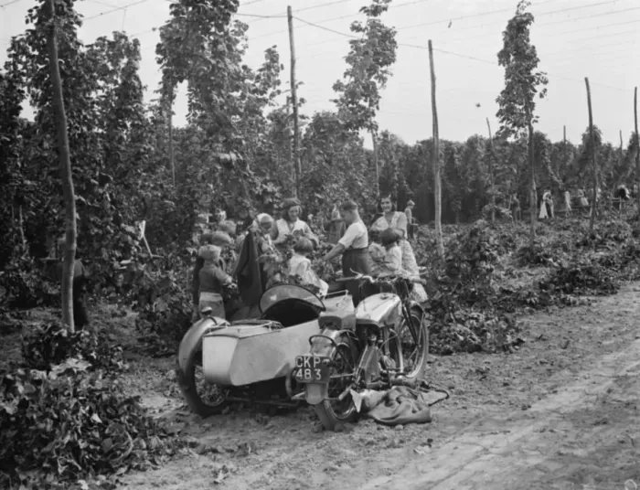 Framed Print : Hop pickers in East Peckham. 1 September 1938 Framed Print : Hop pickers in East Peckham. 1 September 1938