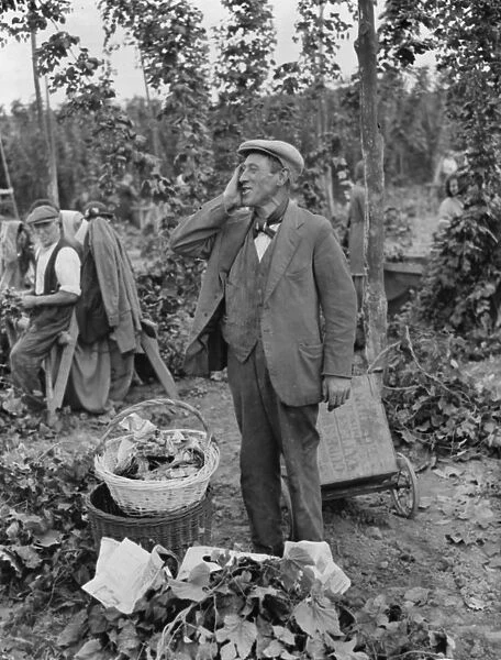 Hop pickers in East Peckham. 1 September 1938