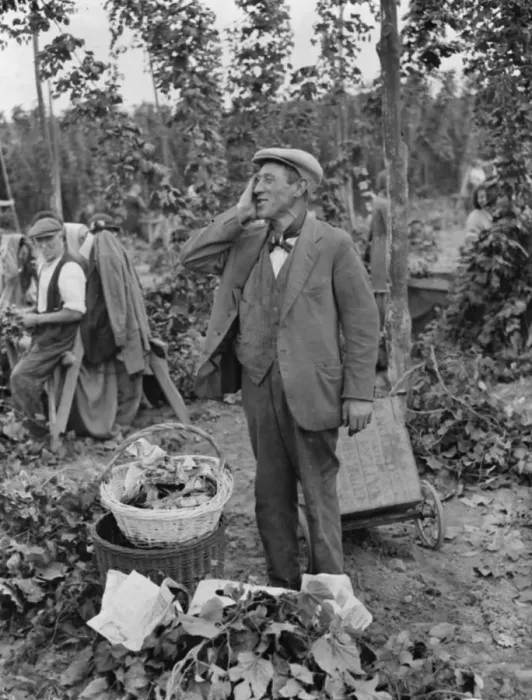 Framed Print : Hop pickers in East Peckham. 1 September 1938 Framed Print : Hop pickers in East Peckham. 1 September 1938