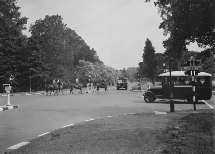 Framed Print : Horses and traffic lights at a road junction. 1937