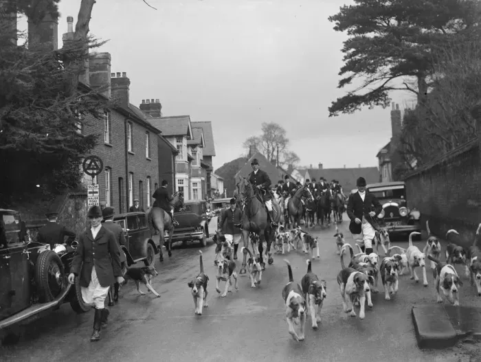 Framed Print : Hunting scenes in Bletchingley, Surrey. The hounds run through the streets ahead Framed Print : Hunting scenes in Bletchingley, Surrey. The hounds run through the streets ahead