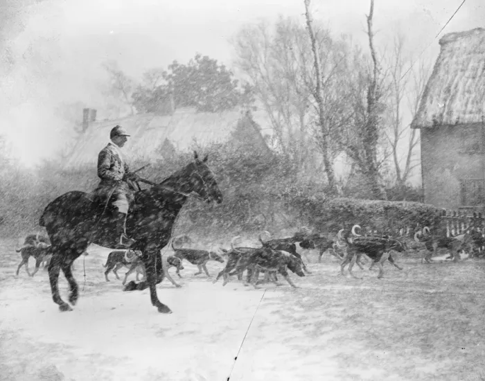 Framed Print : Hunting in a Snowstorm Sir William Austin and hounds in snowstorm 1921 Framed Print : Hunting in a Snowstorm Sir William Austin and hounds in snowstorm 1921