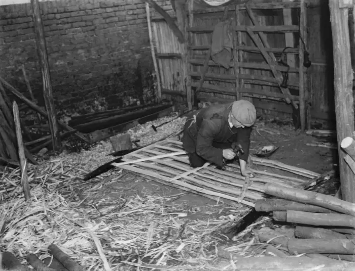Framed Print : Hurdle making in Cuxton, Kent. 1937 Framed Print : Hurdle making in Cuxton, Kent. 1937