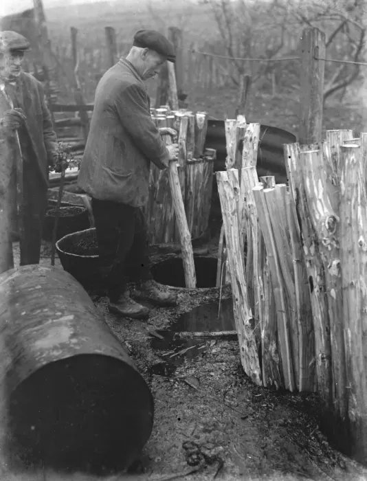 Framed Print : Hurdle making in Cuxton, Kent. Tanning the posts. 1937 Framed Print : Hurdle making in Cuxton, Kent. Tanning the posts. 1937