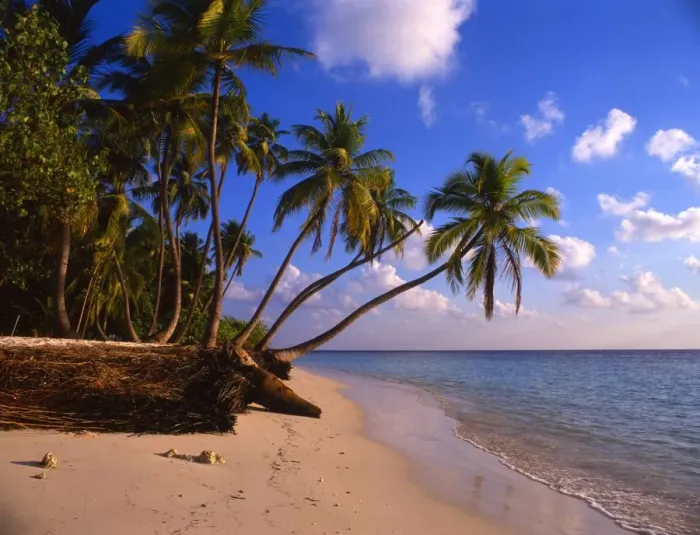 Framed Print : The island of Little Bandos, in the Maldives