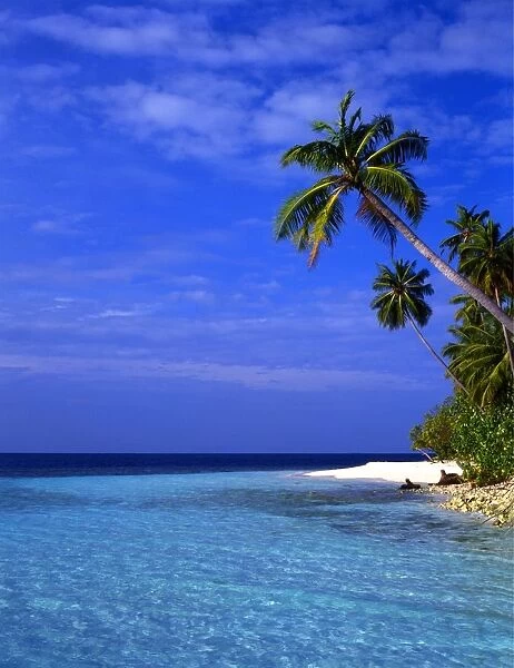 The island of Little Bandos, in the Maldives