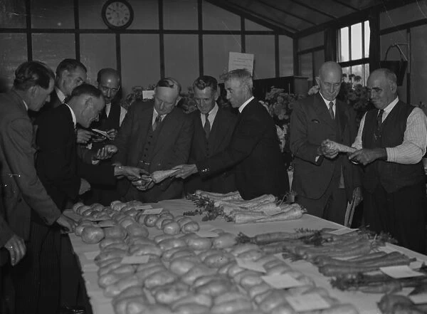 The judging at the Foots Cray 90th horticultural show, Kent. 1937