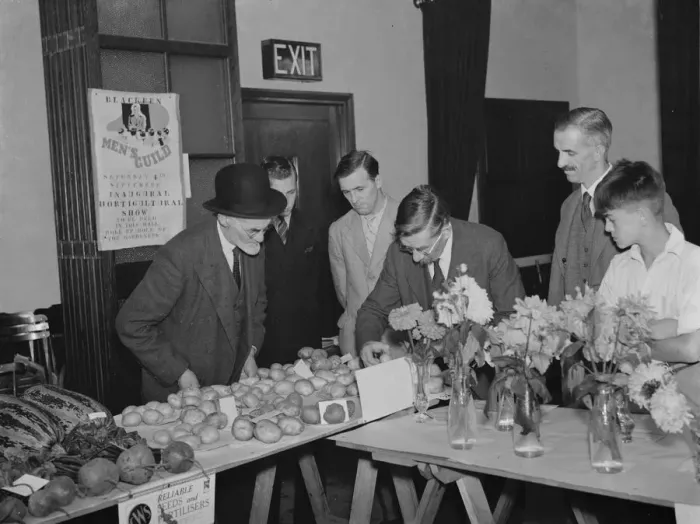 Framed Print : The judging the vegetables at the Days Lane Horticultural Show, Sidcup. ( F P White )