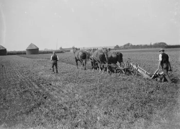 Framed Print : Kent plough team. 1935 Framed Print : Kent plough team. 1935