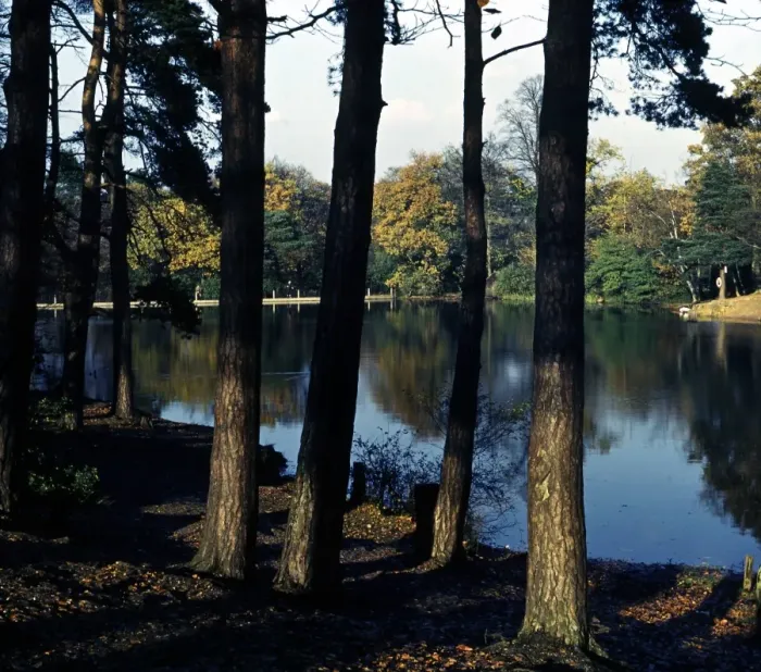 Framed Print : Keston Ponds, Kent