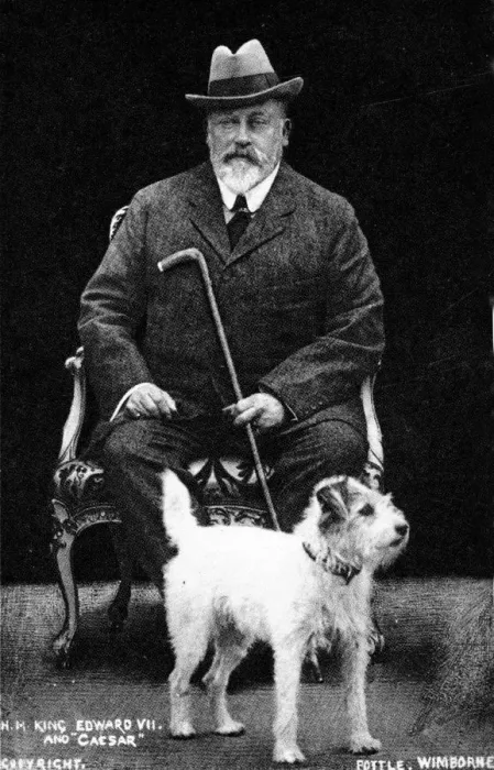 Framed Print : King Edward VII and his dog Caesar c. 1905 by Pottle