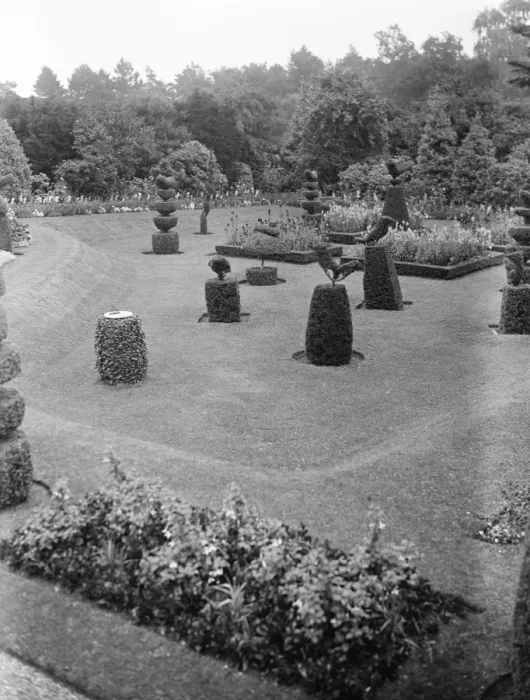 Framed Print : The King and Queen to go to Sandringham, Norfolk. The picturesque topiary work Framed Print : The King and Queen to go to Sandringham, Norfolk. The picturesque topiary work