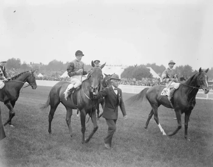 Framed Print : The Kings horse wins the Royal Hunt Cup at Ascot. Leading in the Kings horse Framed Print : The Kings horse wins the Royal Hunt Cup at Ascot. Leading in the Kings horse