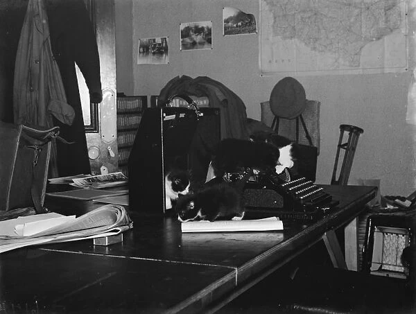 Kittens on a typewriter in an office. 1937