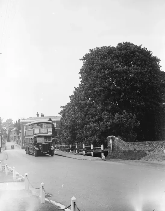 Framed Print : The well - known Chestnut tree by the bridge at Farningham, Kent. 1935