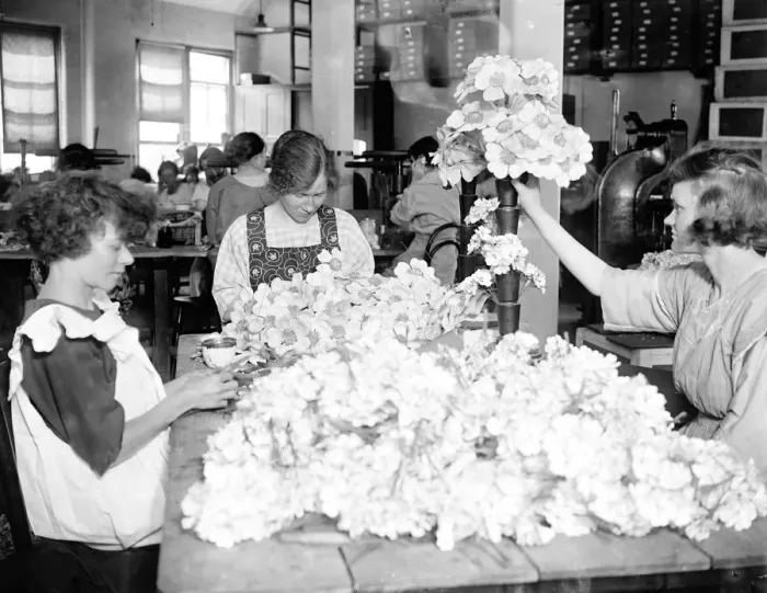 Framed Print : Ladies making preparations for Alexandra Rose Day 15 June 1922 Framed Print : Ladies making preparations for Alexandra Rose Day 15 June 1922