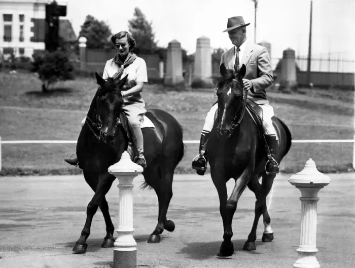 Framed Print : Lady Pamela goes riding Relaxing from vigorous Royal Tour days, Lady Pamela Mountbatten Framed Print : Lady Pamela goes riding Relaxing from vigorous Royal Tour days, Lady Pamela Mountbatten
