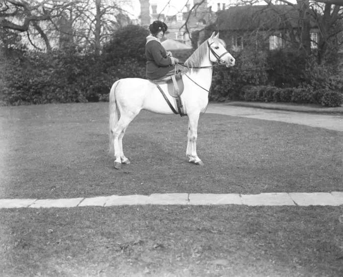 Framed Print : Lady Wentworths Arab Thouroughbreds Crabbet Park Stud, a horse breeding farm Framed Print : Lady Wentworths Arab Thouroughbreds Crabbet Park Stud, a horse breeding farm