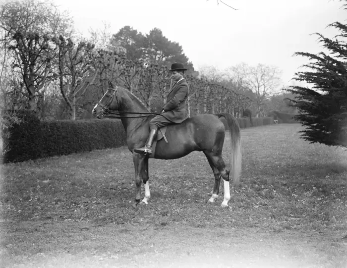 Framed Print : Lady Wentworths Arab Thouroughbreds Crabbet Park Stud, a horse breeding farm Framed Print : Lady Wentworths Arab Thouroughbreds Crabbet Park Stud, a horse breeding farm