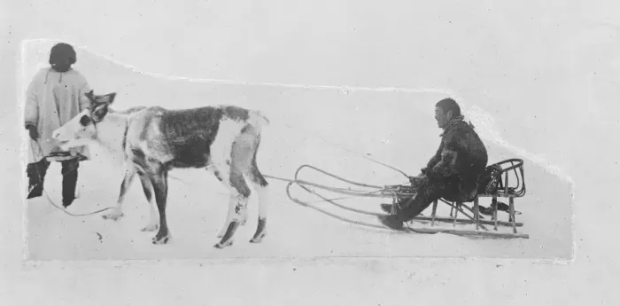 Framed Print : Lamoot reindeer outfit North West Kamchatka, Russia 1920 Framed Print : Lamoot reindeer outfit North West Kamchatka, Russia 1920