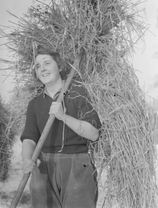 Framed Print : Land girl working on a farm, using a pitchfork to carry hay. 1939 Framed Print : Land girl working on a farm, using a pitchfork to carry hay. 1939