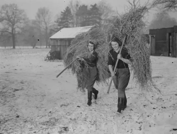 Framed Print : Land girls working on a farm. 1939 Framed Print : Land girls working on a farm. 1939