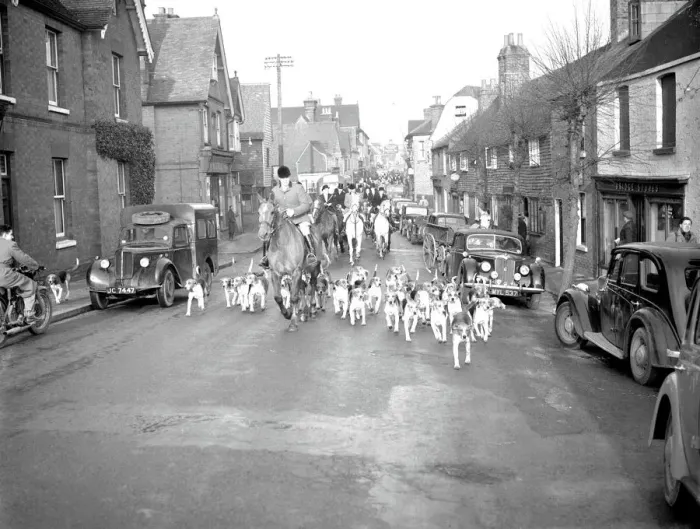 Framed Print : Large meet of the Old Surrey and Burstow Hunt at Edenbridge, Kent. They were moving Framed Print : Large meet of the Old Surrey and Burstow Hunt at Edenbridge, Kent. They were moving