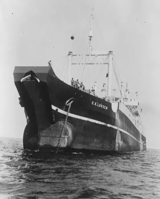 Framed Print : Largest ship of new design. The largest and quaintest whaling ship ever built Framed Print : Largest ship of new design. The largest and quaintest whaling ship ever built