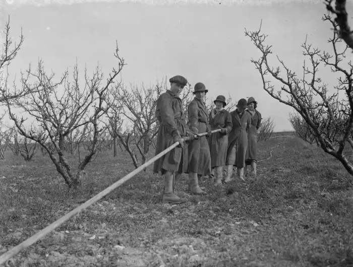Framed Print : Laying pipe lines for spraying fruit trees at Farningham, Kent. 1938 Framed Print : Laying pipe lines for spraying fruit trees at Farningham, Kent. 1938