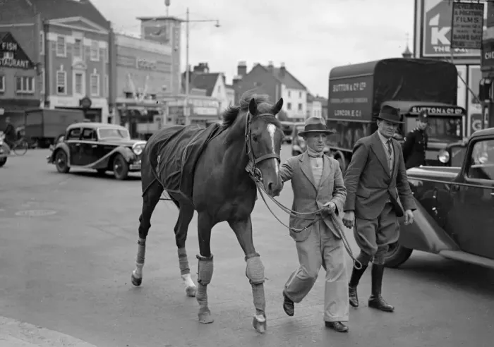 Framed Print : License ( The Kings Horse ) arriving at Epsom Racecourse, Surrey 31 May 1938 Framed Print : License ( The Kings Horse ) arriving at Epsom Racecourse, Surrey 31 May 1938