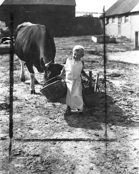 Framed Print : Little Jimmy Horton, of Newick, Sussex, is only 4, but is already making himself