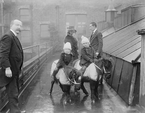 Live toys at Derry and Toms Shetland Ponies at ?15 24 November 1919