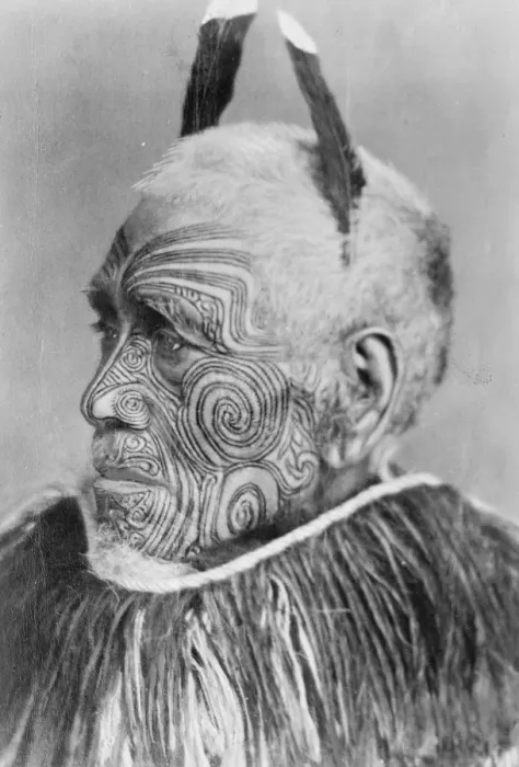 Framed Print : A living oil painting. A remarkable study from New Zealand. To meet a Maori so Framed Print : A living oil painting. A remarkable study from New Zealand. To meet a Maori so