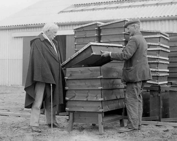 Framed Print : Lloyd George and bees in bee hives May 11th 1934 Framed Print : Lloyd George and bees in bee hives May 11th 1934